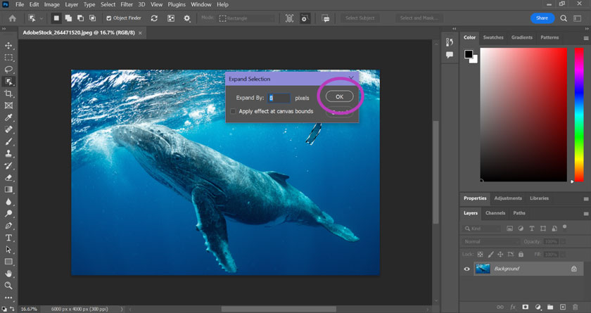 Tại cửa sổ Expand Selection bạn có thể thay đổi số pixels tại Expand by