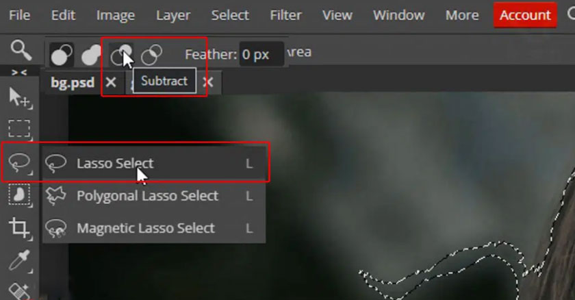 Sử dụng Lasso select với chế độ Subtract 