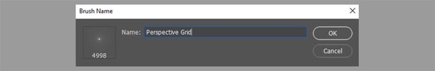 vào Edit > Define Brush Preset