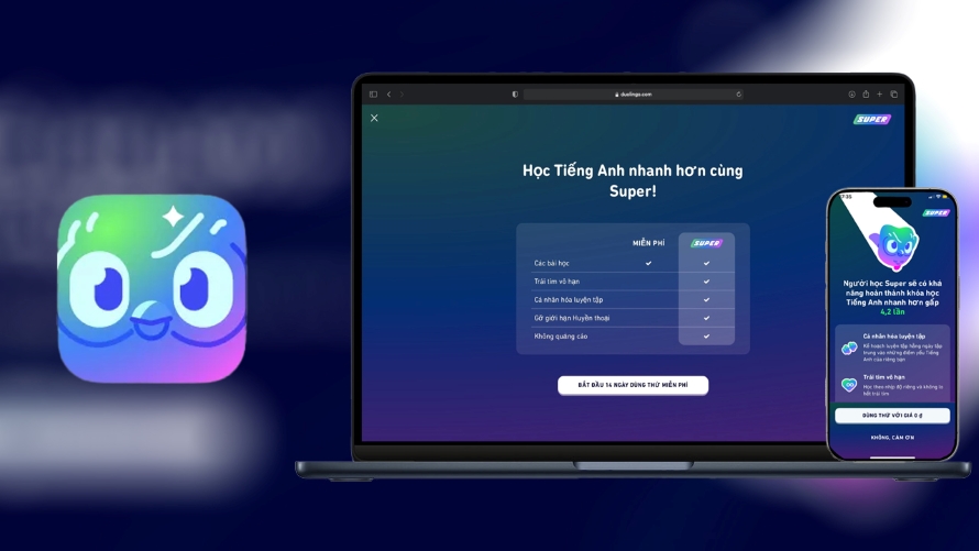 Nâng cấp tài khoản Duolingo Super với SaDesign giúp nâng cao hiệu quả học tập với mức chi phí tối ưu
