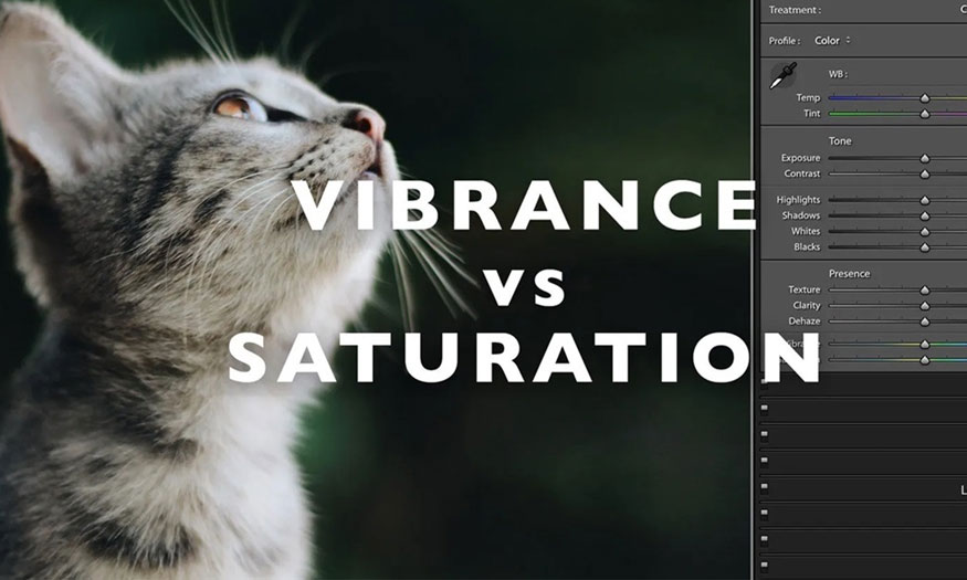 Giống và Khác nhau giữa Vibrance và saturation trong Photoshop