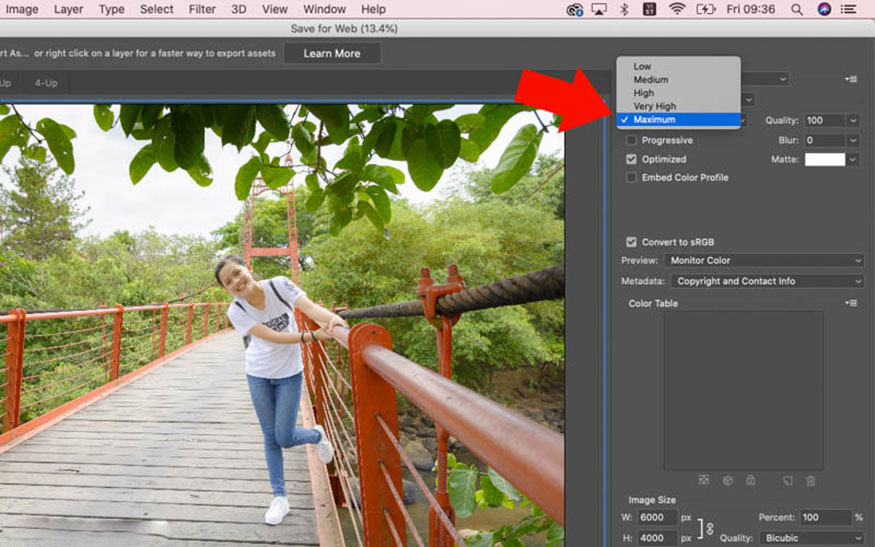 Chức năng xuất ảnh Save for Web trong Photoshop