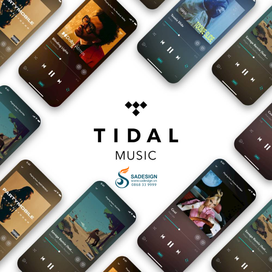 Tidal Hifi Plus là loại tài khoản nào