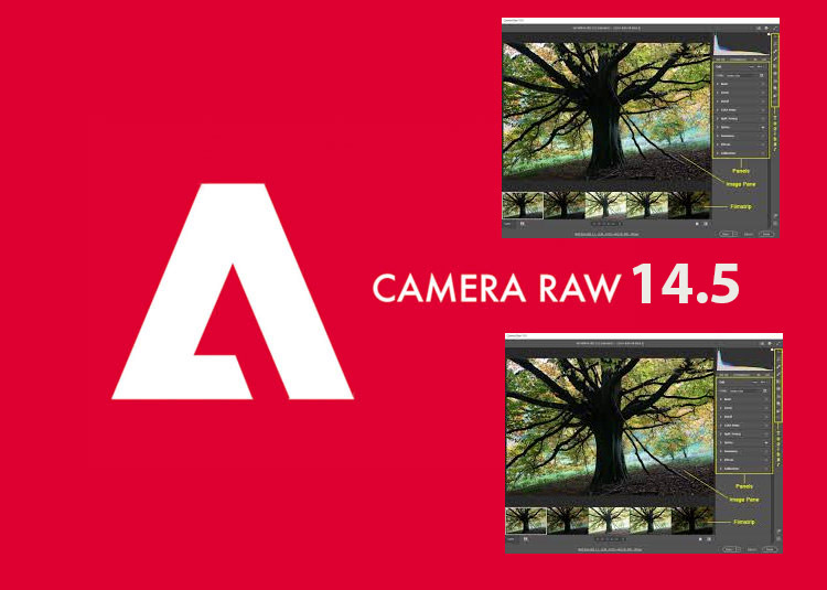 Hướng Dẫn Download Và Cài Đặt Camera Raw 14.5