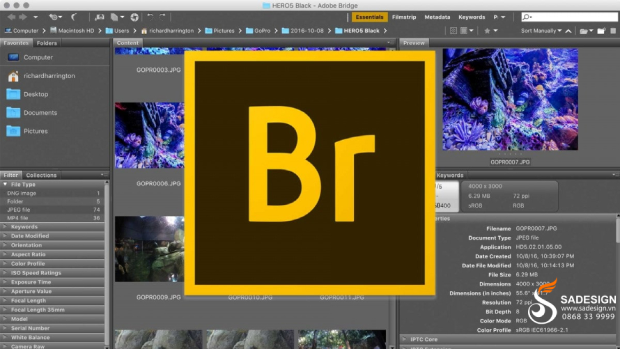 Adobe Bridge