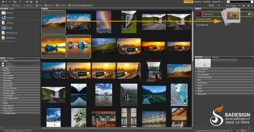 Adobe Bridge là ứng dụng gì