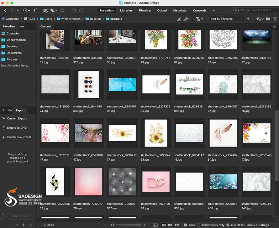 Hướng dẫn nâng cấp Adobe Bridge tại SaDesign