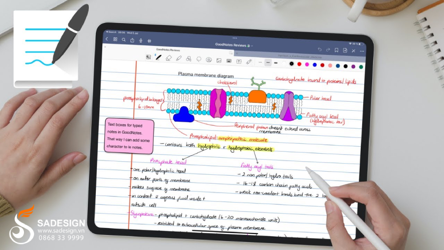 Goodnotes 6 có gì mới so với các phiên bản cũ