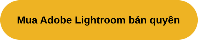 mua adobe lightroom bản quyền giá rẻ