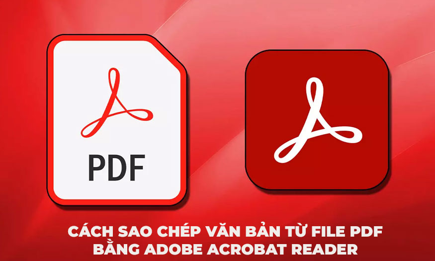 Cách sao chép văn bản từ file PDF bằng Adobe Acrobat Reader từ A-Z