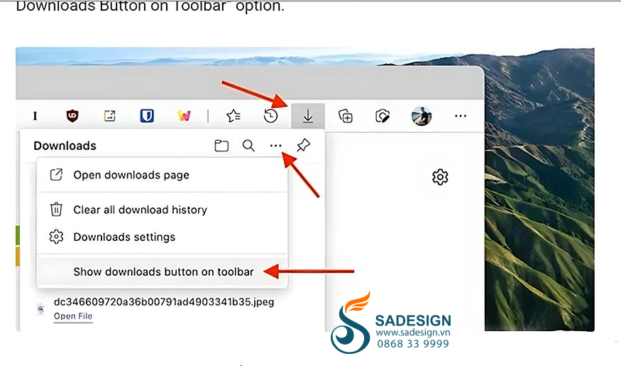 nhấn chọn Show downloads button on toolbar.