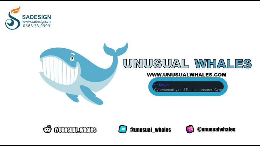 Unusual Whales