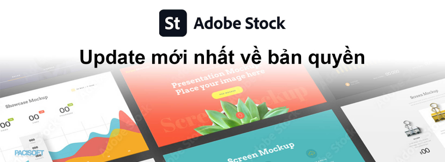 Địa chỉ cung cấp phần mềm Adobe Stock bản quyền giá rẻ