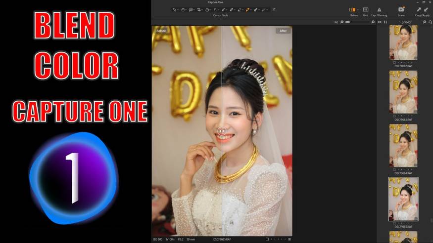 vì sao nên dùng Capture One để blend màu