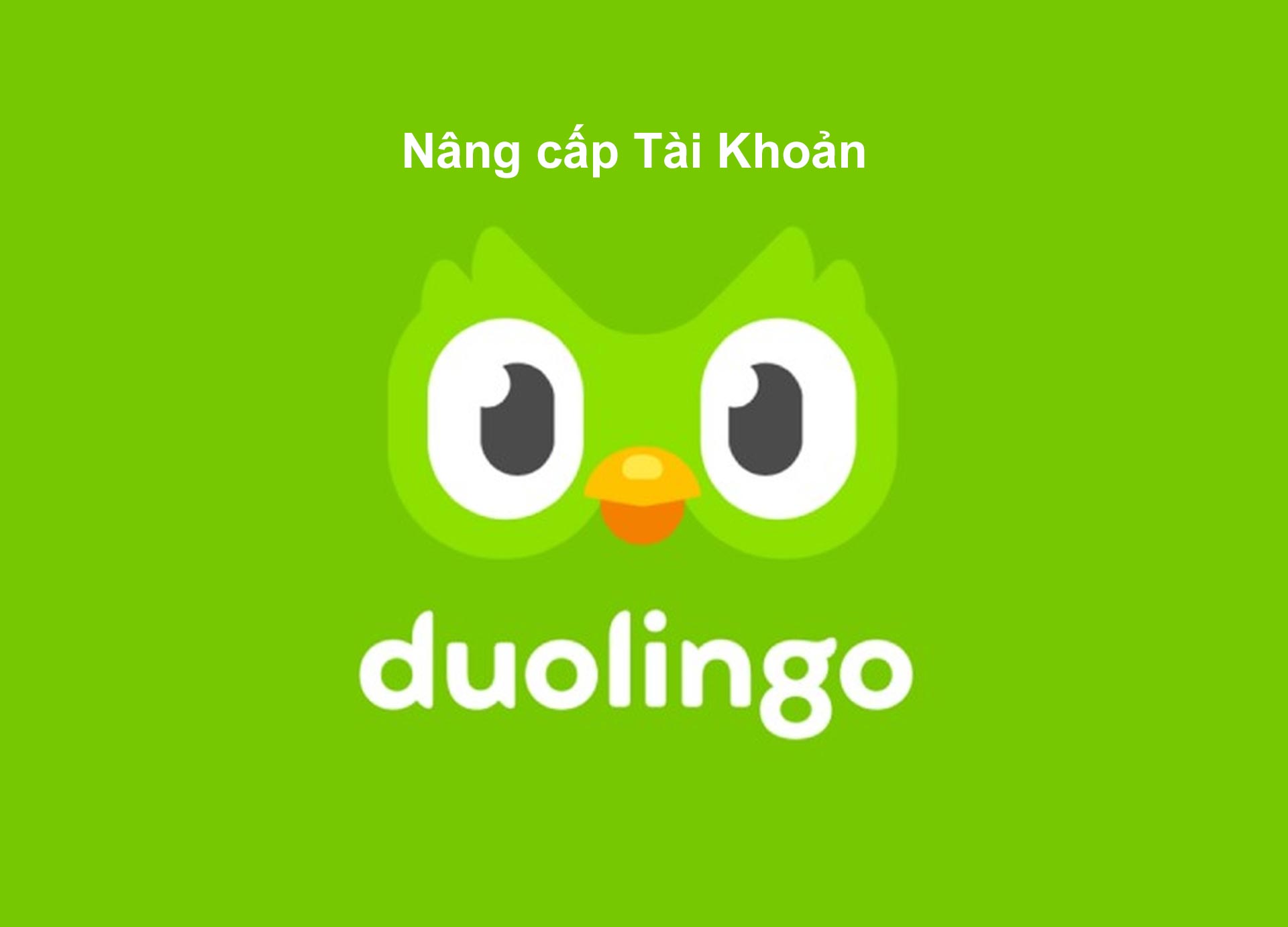 Nâng cấp Duolingo Super