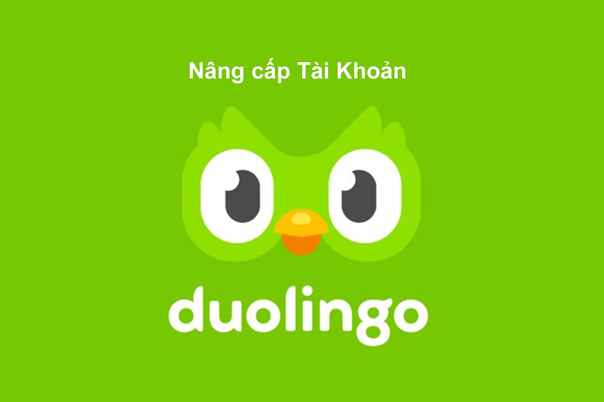 Nâng cấp Duolingo Super chính chủ 1 năm