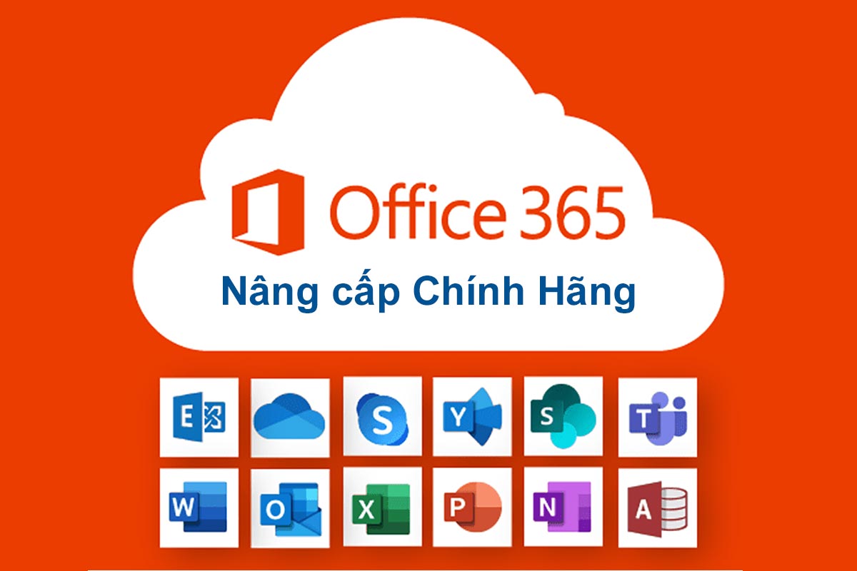 Nâng cấp Office 365 Chính Hãng