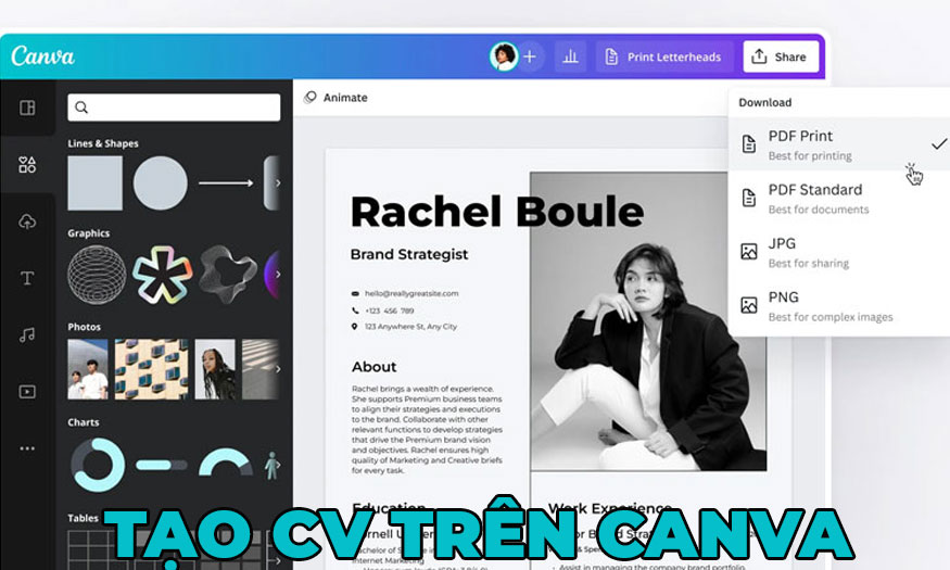 Có thể tạo CV trên Canva không