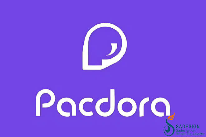 Pacdora Pro Có Tốt Không? Giải Đáp Chi Tiết Về Chất Lượng Sản Phẩm cùng SaDesign