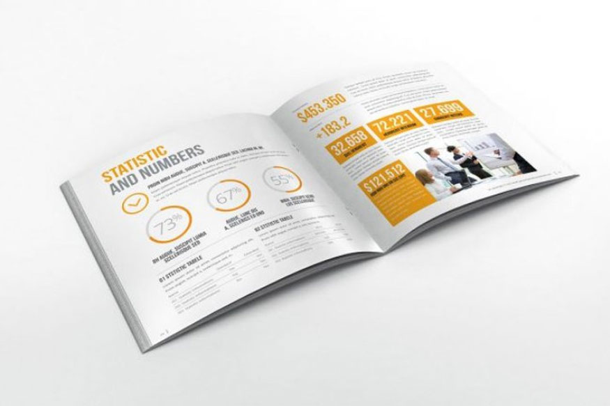 Annual report brochure