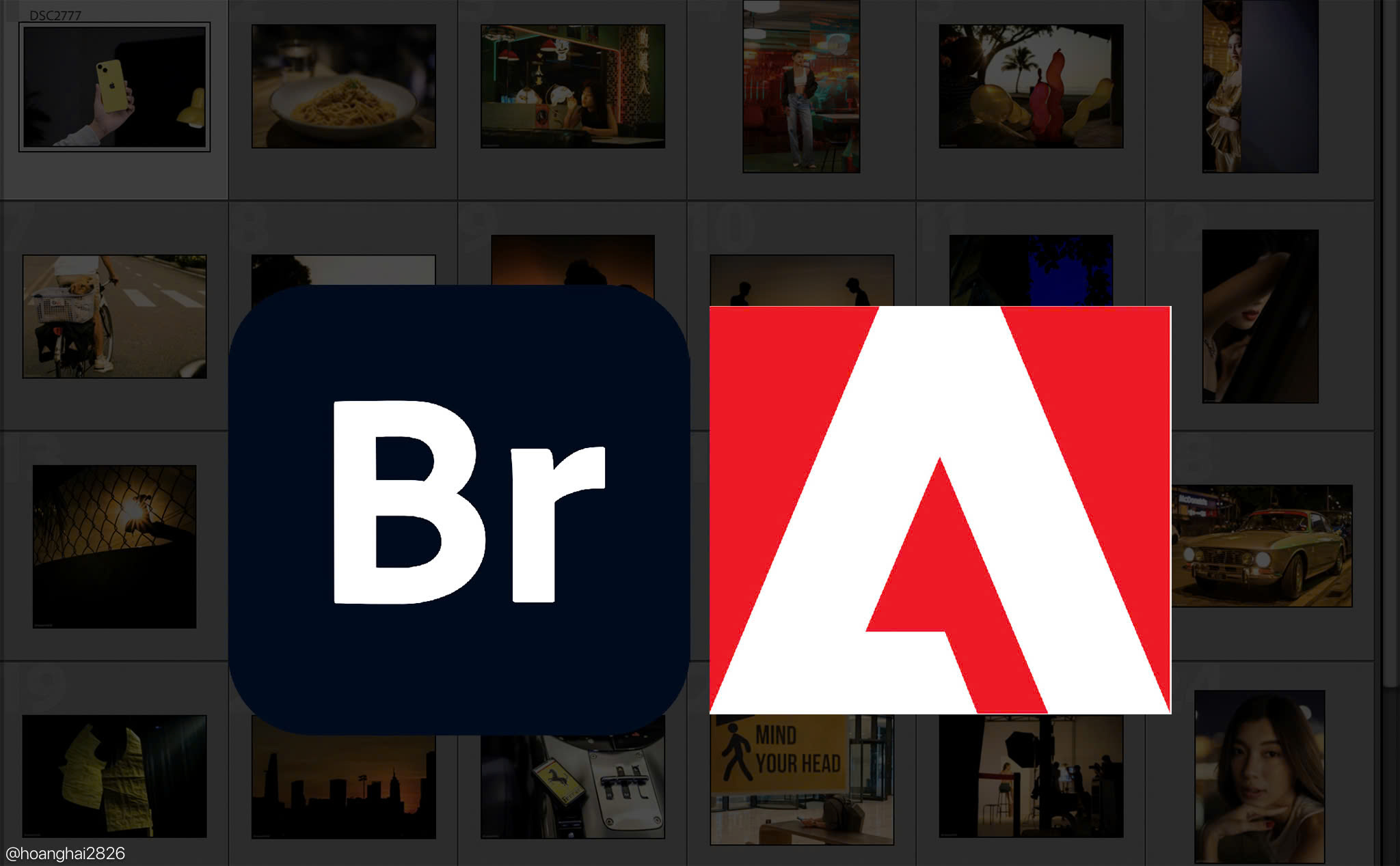 5 Tính Năng Nổi Bật Của Adobe Bridge Mà Bạn Cần Biết