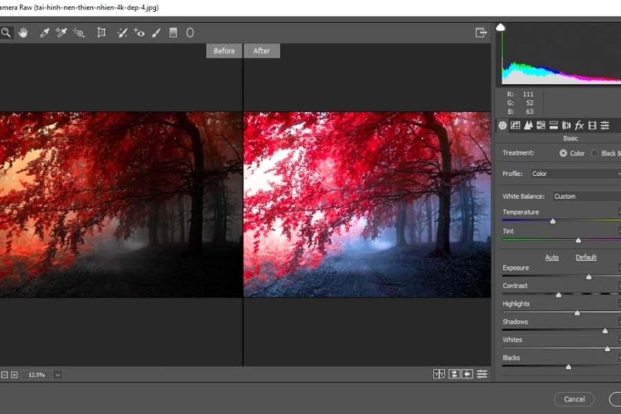 Mua phần mềm Chỉnh sửa ảnh bằng Photoshop ở đâu chất lượng giá rẻ