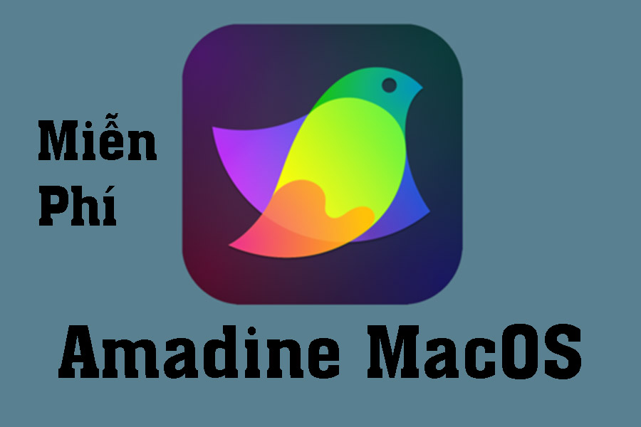 Tải Miễn Phí Amadine Cho MacOS – Phần mềm đồ họa Vector tương tự Illustrator