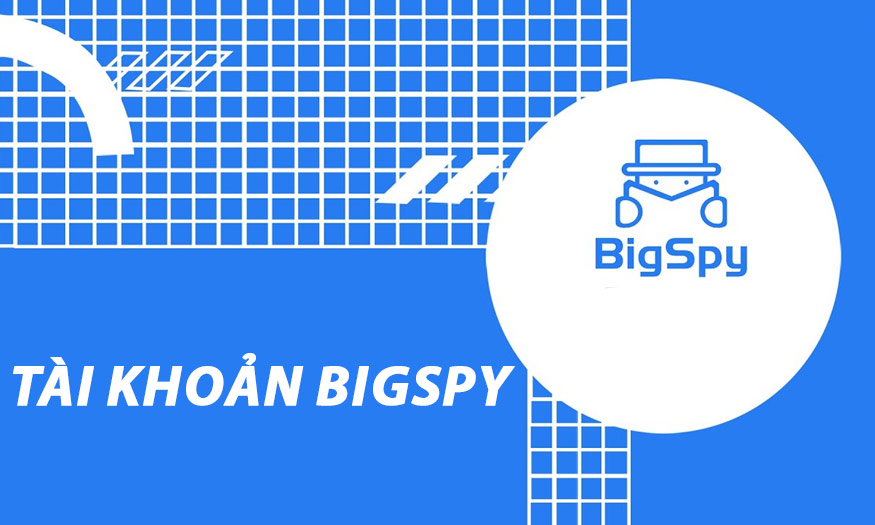 Tài khoản Bigspy