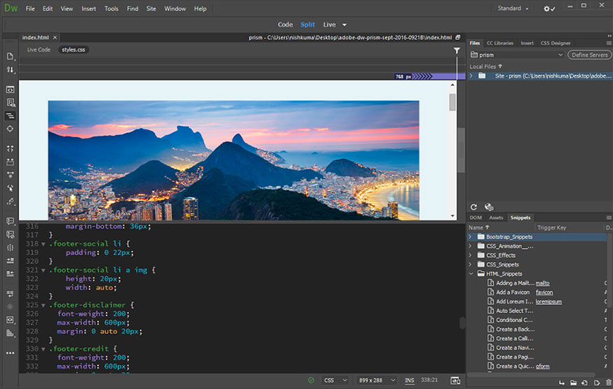 Web Development