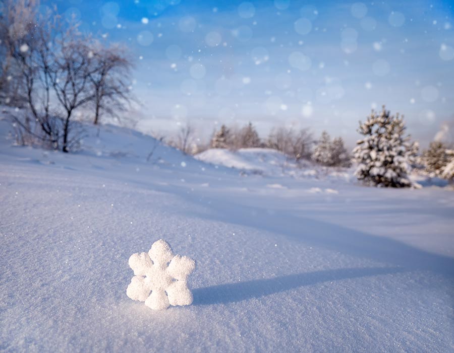 Hướng Dẫn Tải Miễn Phí Background Snowflake Cực Đẹp