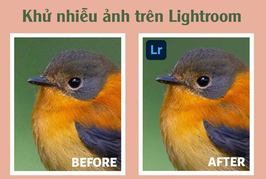 Tính năng khử nhiễu ảnh của Lightroom