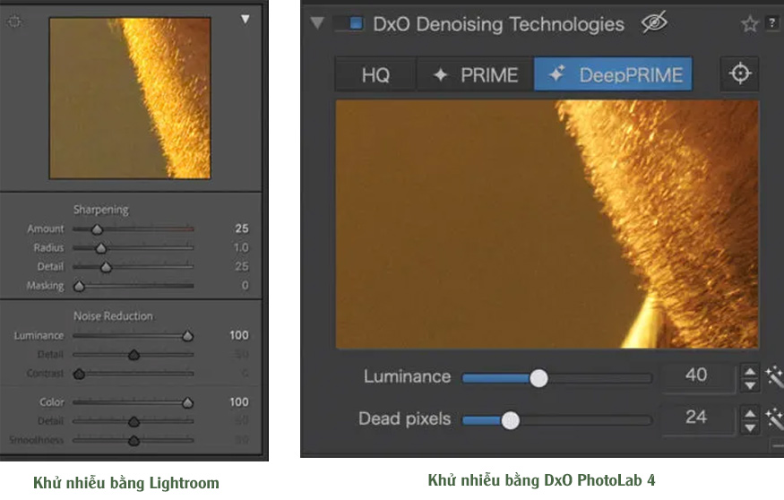 So sánh tính năng khử nhiễu ảnh từ Lightroom và DxO PhotoLab 4