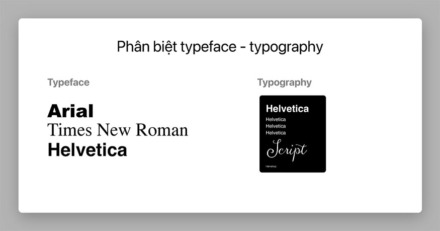 Phân biệt giữa brand typeface và typography 
