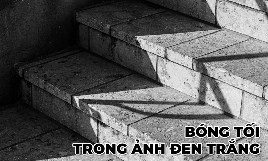 Bóng tối trong nhiếp ảnh đen và trắng