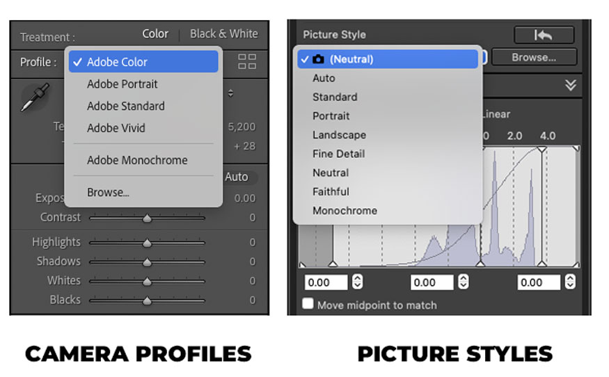 Camera Profiles và Picture Styles