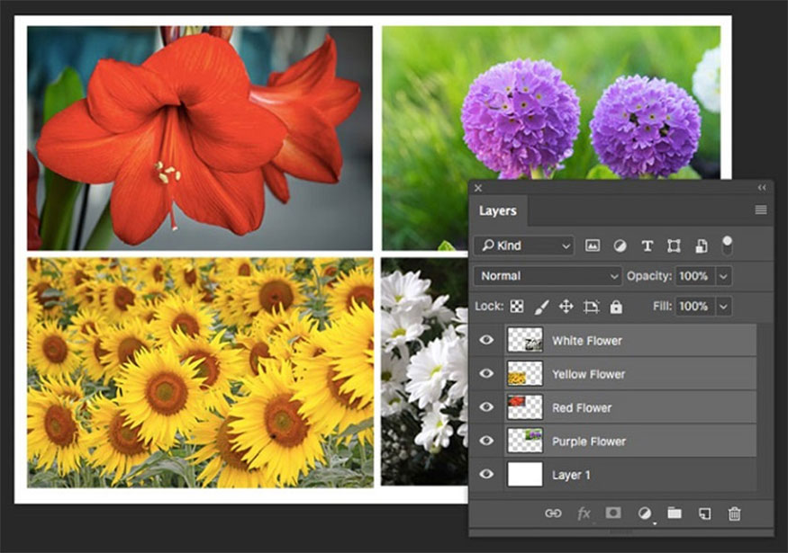Nguyên tắc áp dụng filter trong photoshop