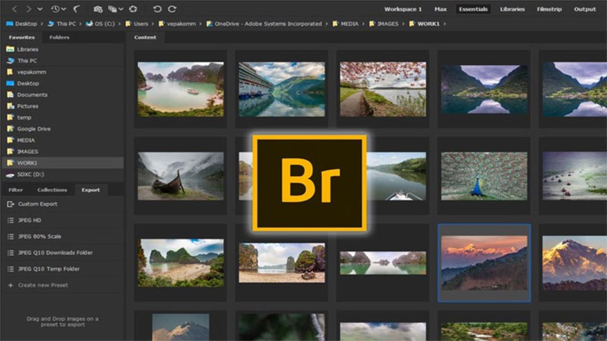 Adobe Bridge