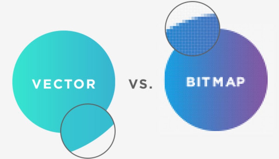 Bitmap Và Vector: Hiểu Đúng Để Thiết Kế Chuẩn Ngay Từ Đầu