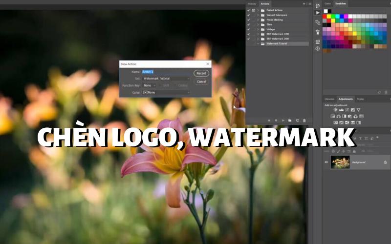 Cách Chèn Logo, Watermark Vào Nhiều Ảnh Cực Nhanh Chỉ Trong 30 Giây