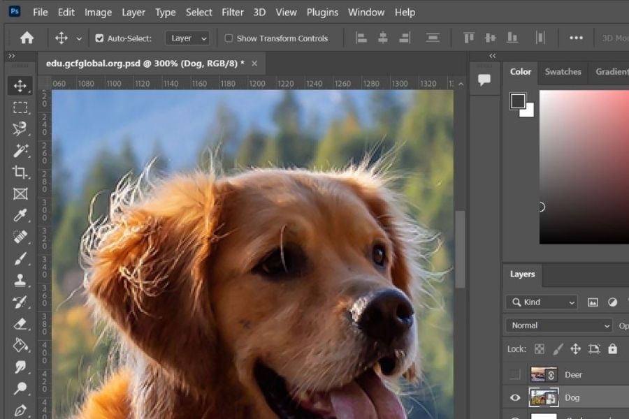 Hướng Dẫn Tạo Viền Ảnh Trong Photoshop Nhanh Gọn, Đẹp Chuẩn Designer