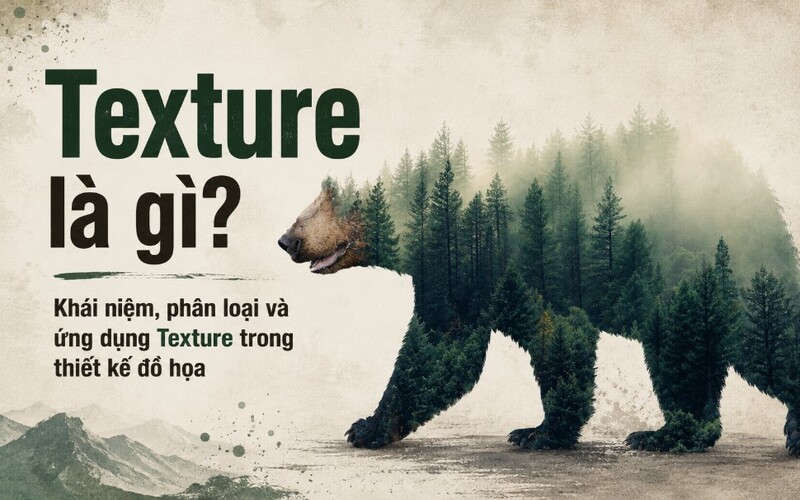 Texture là gì? Khái niệm, phân loại và ứng dụng Texture trong thiết kế đồ họa