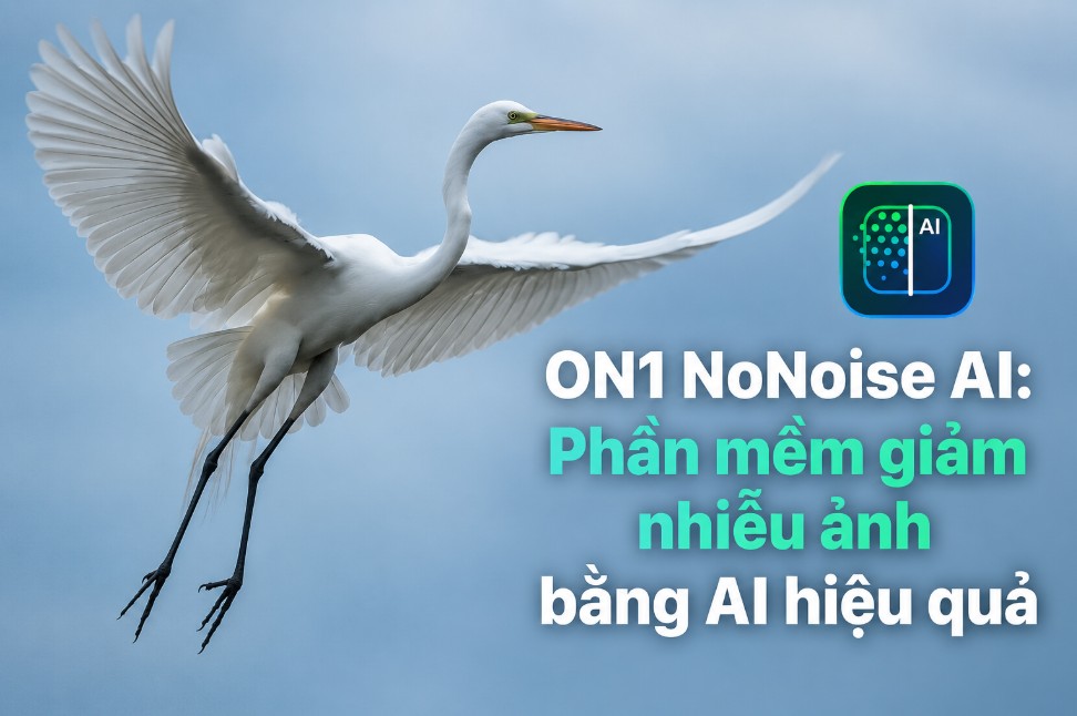 ON1 NoNoise AI: Phần mềm giảm nhiễu ảnh bằng AI hiệu quả
