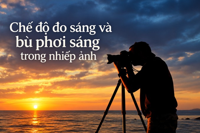Chế độ đo sáng và bù phơi sáng: Hướng dẫn chi tiết cho người mới
