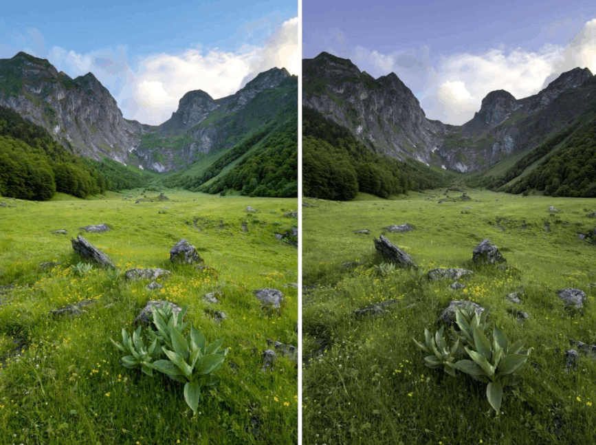 Chụp ảnh nên dùng Adobe RGB hay sRGB? Những điều nhiếp ảnh gia cần biết