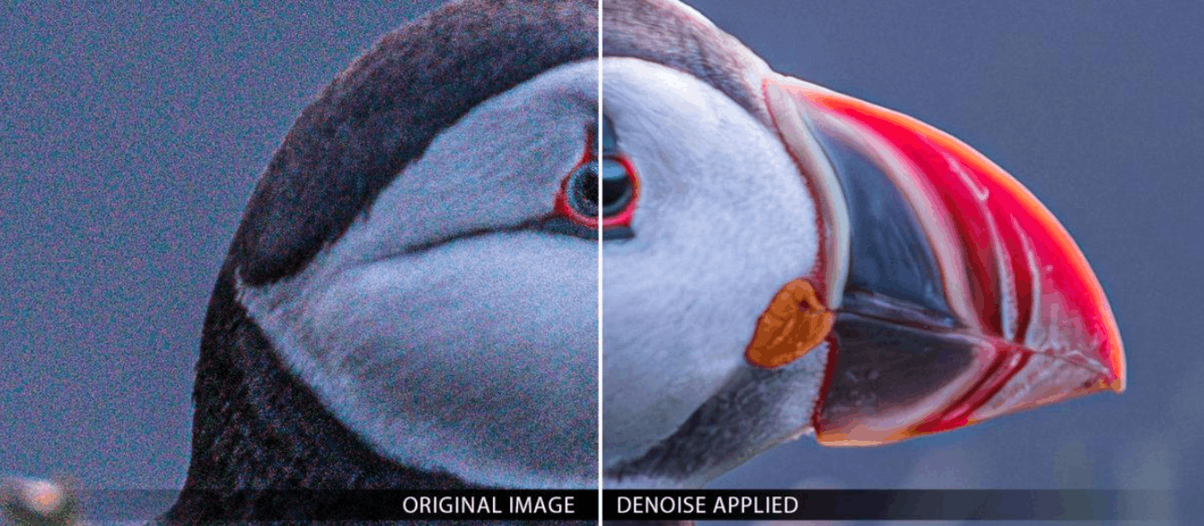 Capture One vs Lightroom 2026: Đâu Là Phần Mềm Chỉnh Sửa Ảnh Đáng Dùng Nhất?