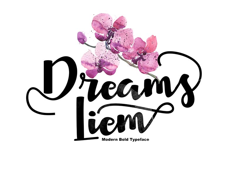 Font Chữ Đẹp 309 - Dreams-Liem_INTRO-SALE-50