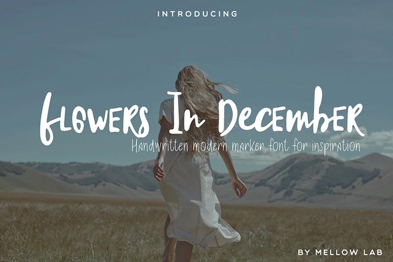 Font Chữ Đẹp 112 - FLOWERS_IN_DECEMBER