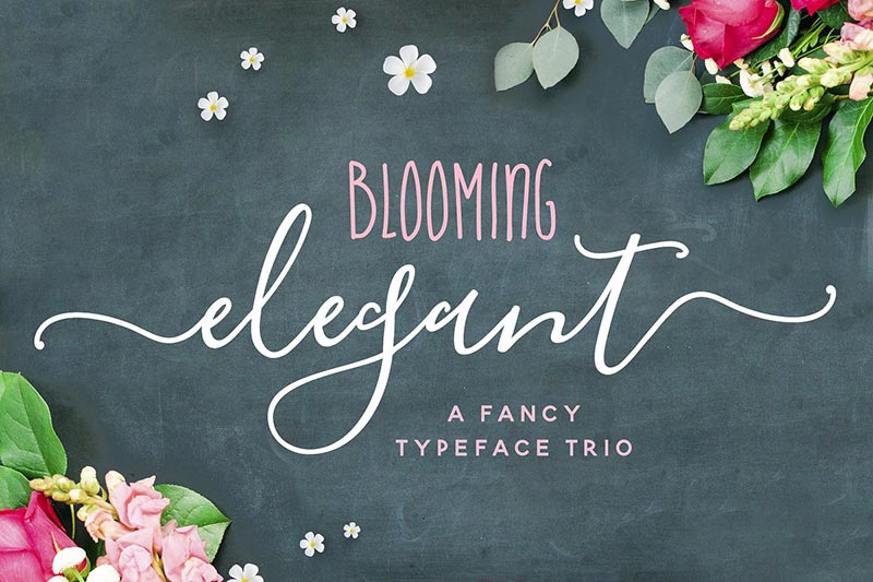 Font Chữ Đẹp 280 - Blooming