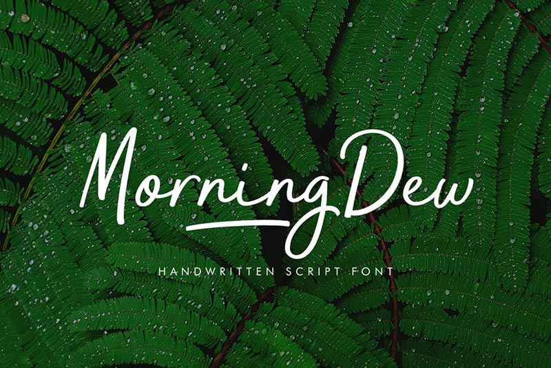 Font Chữ Đẹp 217 - MorningDew