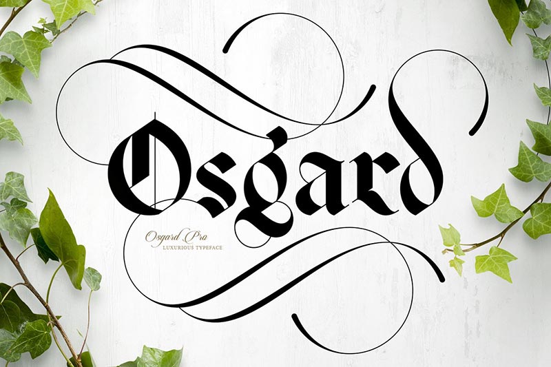 Font Chữ Đẹp 224 - Osgard Pro & Stencil